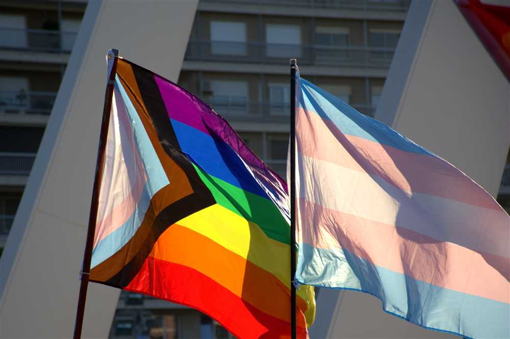 Exploring the Birth of the Lesbian Sapphic Flag